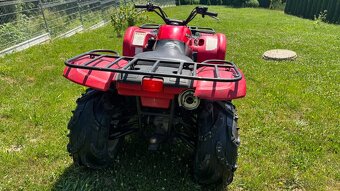 Yamaha grizzly 660 - 3