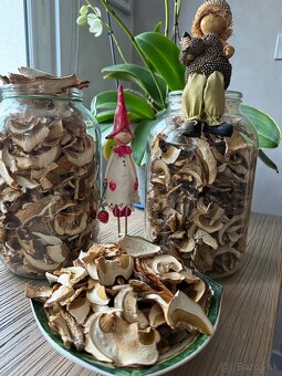 Sušené dubáky - 3