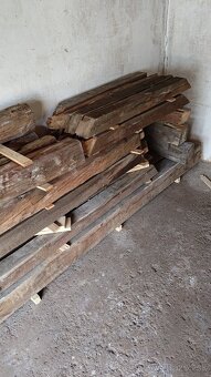 State drevo borovica - 3