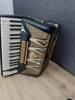 Harmonika delicia - 3