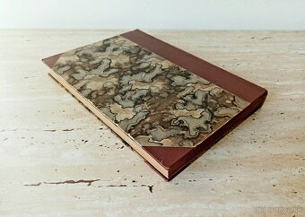 Časopisy Šťastný domov, svázaný ročník 1923, krásný stav - 3