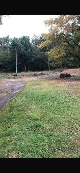 Stavebné pozemky - Klokočov - 3