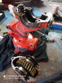 Vari tera pluh plecka - 3