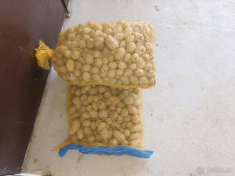 Sadbové zemiaky - 3