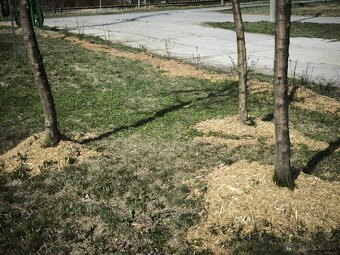 Drevná štiepka - 3