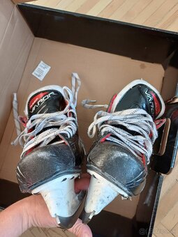 Korcule Bauer vapor x3 - 3