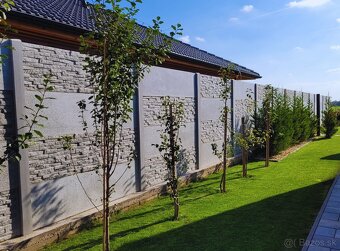 ponúkam betónové ploty na kľúč - 3