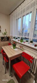Predaj: 2 izbový byt v meste Turzovka(163-B) - 3