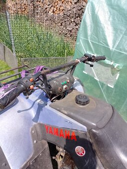 ATV 250 - 3