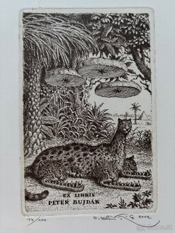 Peter Klucik - mensie grafiky - 3