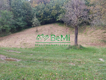 Chata v obci Belá, okres Žilina, 1336m2 048-13-PEMO - 3