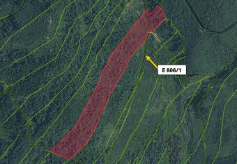 Horelica – 3.100 m2 LES – PREDAJ - 3