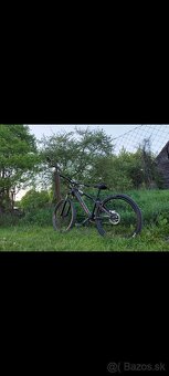 Ctm dirtking - 3