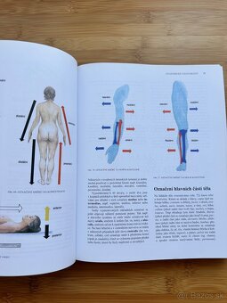 Čihák Anatomie 1 - 3