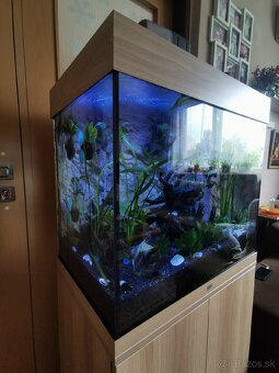 Akvárium Juwel 120 l. - 3