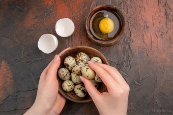 🪺 VEĽKÉ prepeličie vajíčka len za 0.15€ až 20g/kus - 3