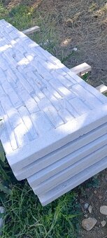 BETÓNOVÝ PLOT - 3