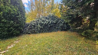 Predaj rekreačná chata Nitra - Zobor, pri lese - 3