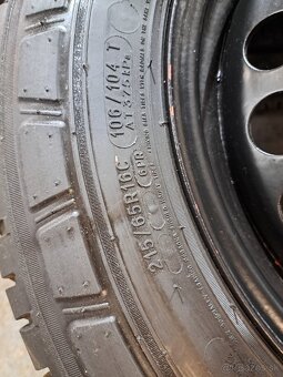 caravelle t5 michelin - 3