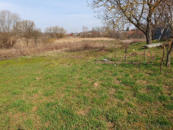 Veľký investičný pozemok 6500m2 v intraviláne obce 64eur za - 3