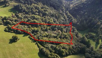 Lysica – 6.249 m2 LES – NA PREDAJ - 3