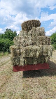 Seno malé baliky - 3