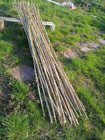 Bambusové tyče - 3