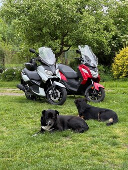 Yamaha xmax 125 - 3