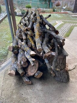 Predám čerstvé orechové drevo - 3