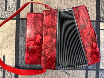 Hohnica Delicia popular Heligonka - 3