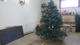Predám vianočný stromček - 3