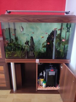Predám akvárium - 3