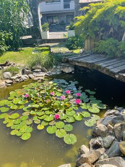 Dom v Branči pri Nitre - 3