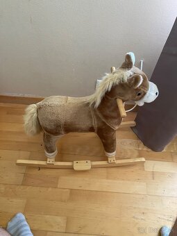 Húpací konik - 3