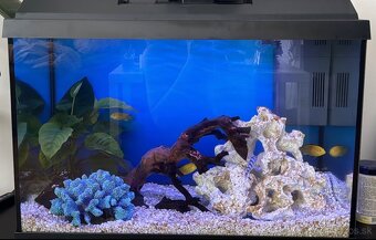 Akvárium Juwel s príslušenstvom - 3