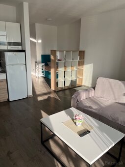 PRENÁJOM 1 izbový byt- SLOVENSKÝ GROB - 3