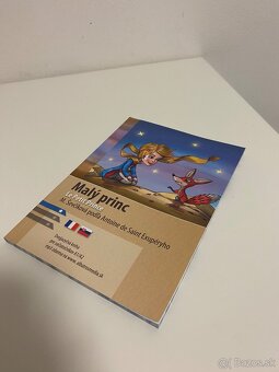 Malý princ - M. Ševčíková (AdSE) - 3