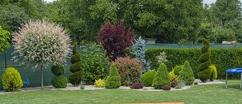 Strihanie drevín - 3