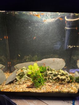 Predám akvárium 40L - 3