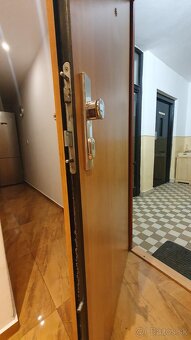 Bezpecnostne dvere - 3