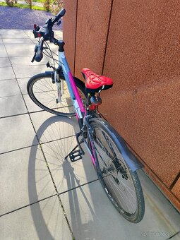 Maxima1.016 dámsky crossový bicykel CTM - 3