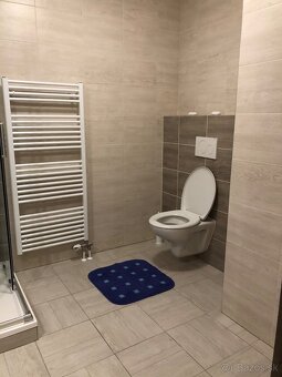 Prenájom 1 izbovy byt - 3