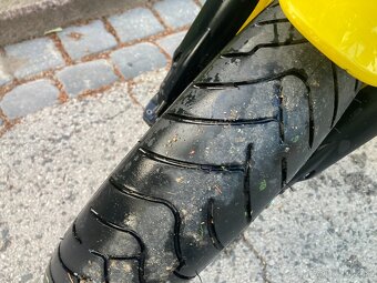 Ducati Scrambler Icon 800 - 3