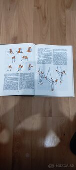 Predám knihu KARATE - 3