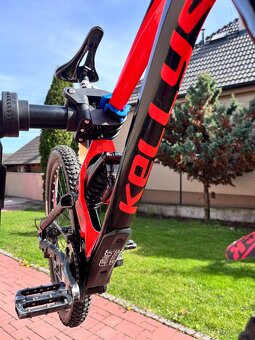 Kellys noid 70 - 3