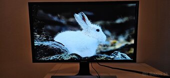 Samsung 4K UHD 28" monitor - 3