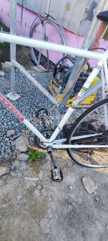Predám cestný bicykel favorit po Repase - 3