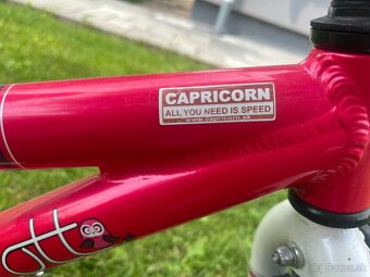 Detský bicykel Scott (1-5 rokov) - 3