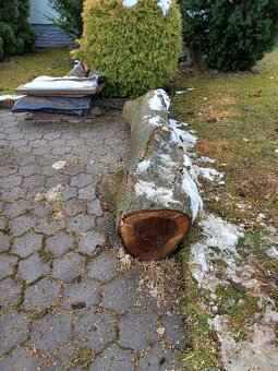 Predám orechove drevo - 3