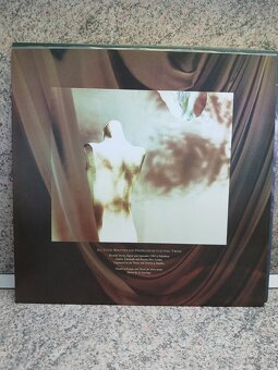 Cocteau Twins - Treasure - 3